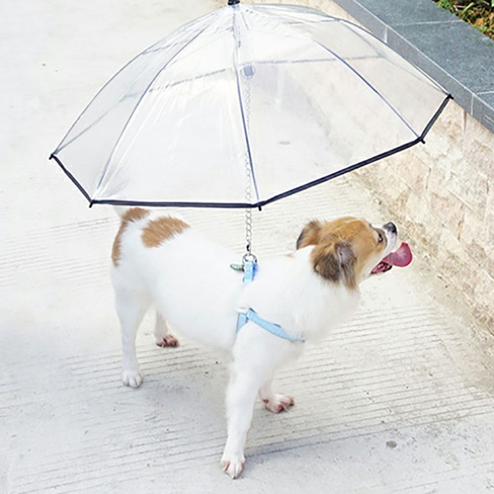 寵物透明雨傘 AD1350006